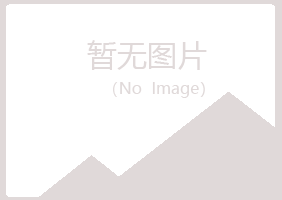 肇东字迹音乐有限公司